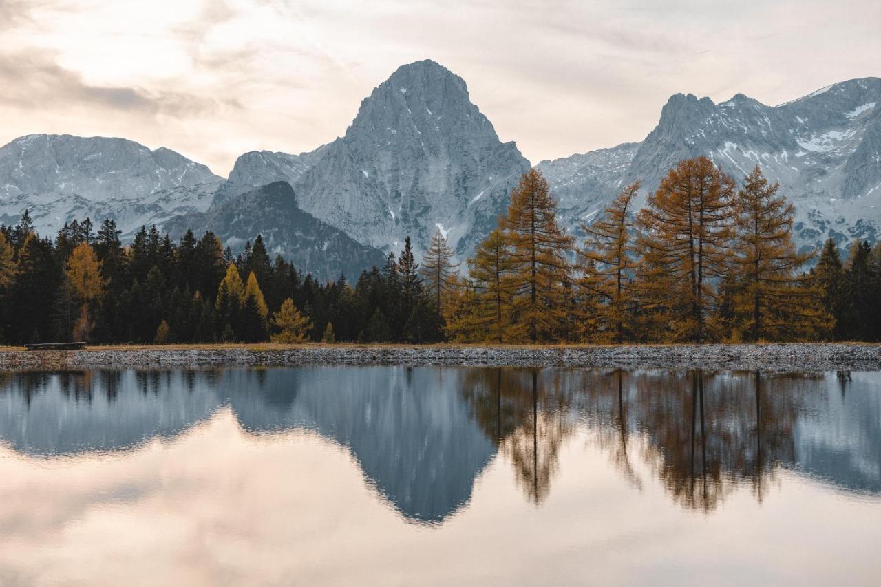 Triforet Alpin Hotel