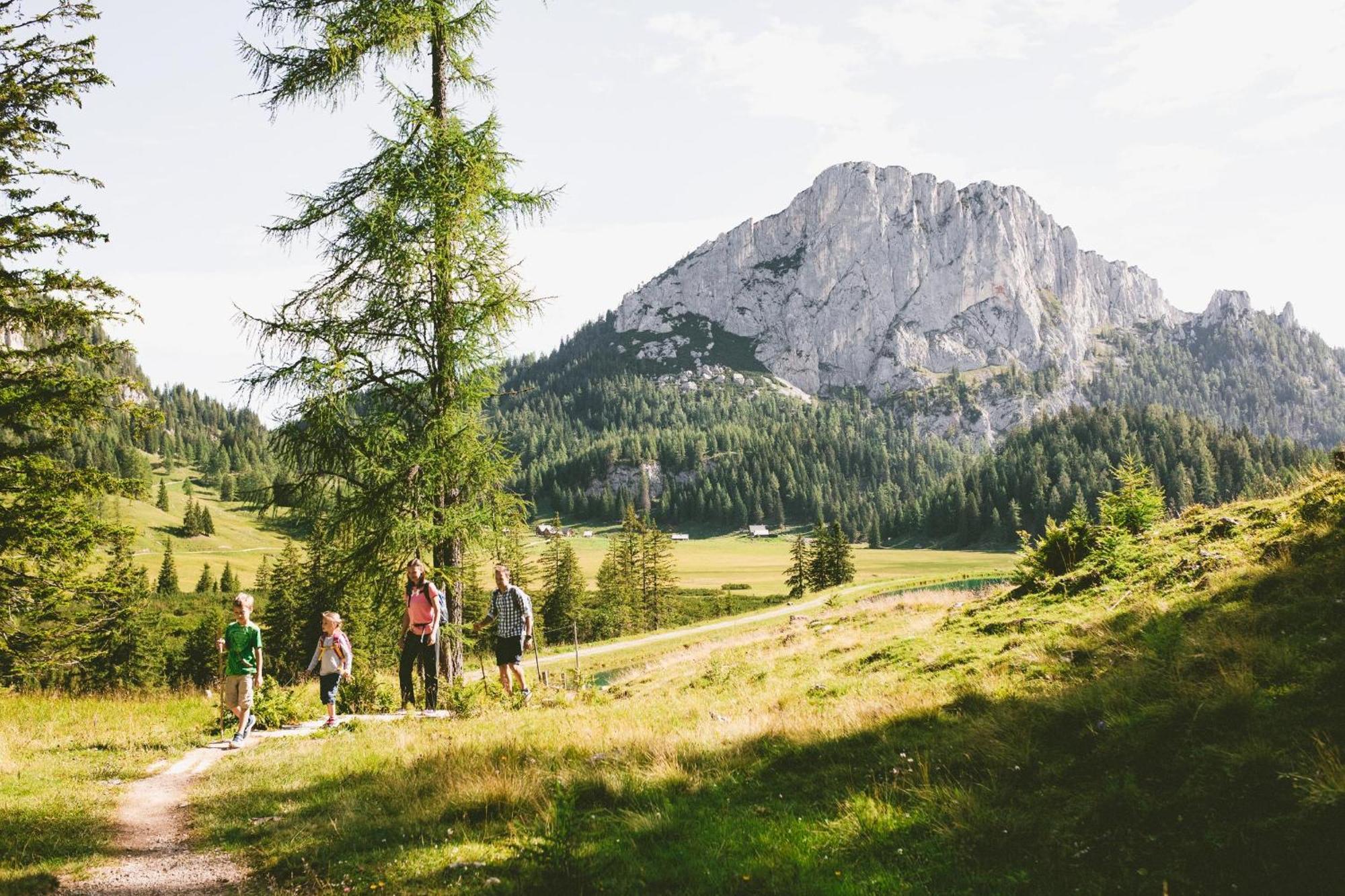 Triforet Alpin * Hinterstoder